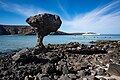 * Nomination: Images of Balandra Beach, municipality of La Paz, Baja California Sur, Mexico. --ProtoplasmaKid 05:58, 22 March 2024 (UTC) * * Review needed