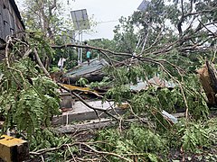 Post Cyclone Amphan situation of Deshbandhu park in Kolkata. Post Cyclone Amphan situation of Deshbandhu park in Kolkata 18.jpg