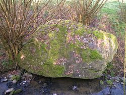 Anschauliches Bild des Artikels Megalith von Pré-du-Vivret