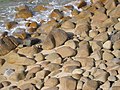 Praia de bolos onda a ermida da Lanzada