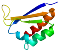 Neuro-oncological ventral antigen 1