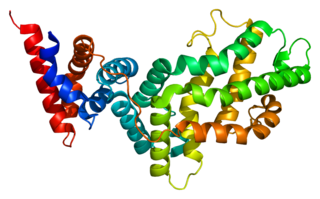 RAS p21 protein activator 1 protein-coding gene in the species Homo sapiens