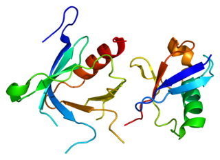 <span class="mw-page-title-main">VPS36</span> Protein-coding gene in the species Homo sapiens