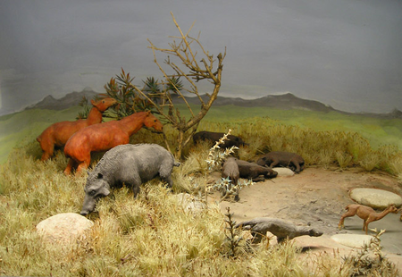 Tập tin:ROM-Miocene-Diorama3.png