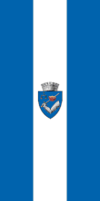Târgu Mureș – vlajka