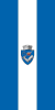 РУ МС Таргу Mures Flag.gif 