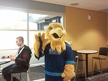 Arvee the Golden Eagle RVC Mascot (Arvee the Golden Eagle).jpg