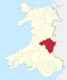 <span class="mw-page-title-main">District of Radnorshire</span>