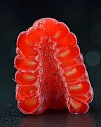Halved raspberry with absent torus