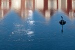 Thumbnail for File:Reflections in the ice at Fisketången, Kungshamn 1.jpg