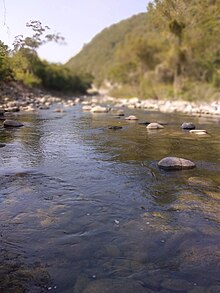 El río de Acuatempa es un tesoro natural vital para la vida local, ofreciendo frescura y serenidad a la comunidad.