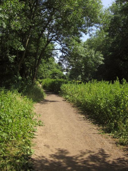 How to get to Bickley Wood with public transport- About the place