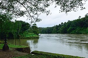 River Manimala Manimala.jpg