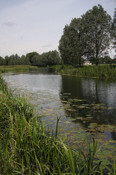 File:River Stour south of Bures - geograph.org.uk - 860236.jpg