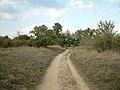 Road in Velence Hills, close to Angelika Spring