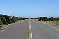 Road near Bandon, OR (TK2)