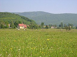 Romagny-90-paysage.JPG