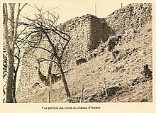 Ruin of Ambur Castle.jpg