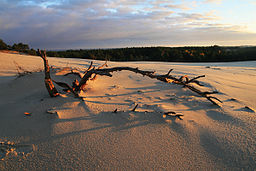 Sanddynerna vid Słowiński nationalpark