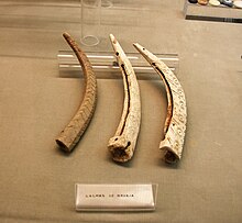 Navaja - Wikipedia