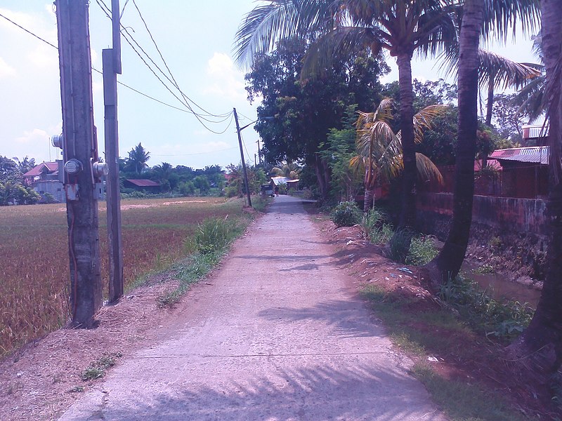 File:Santa Maria and Bocaue area - panoramio (11).jpg