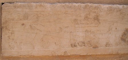 Relief bucolique de la chaussée d'Ounas