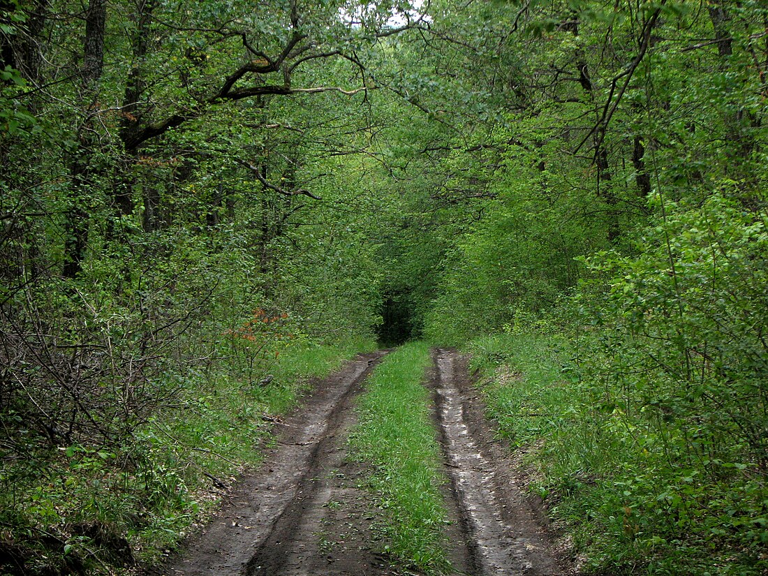 Савранский лес