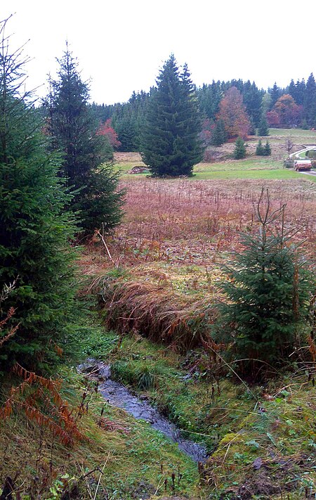 Schwefelbach im Lehmergrund