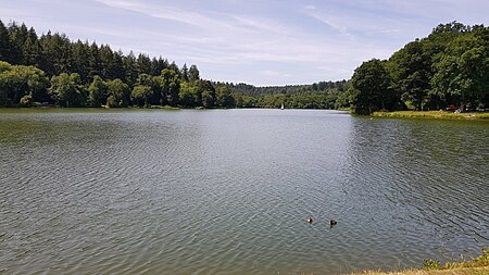 Shearwater Lake view