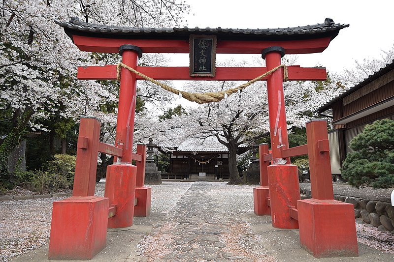 File:Shidori-jinja (Isesaki)Torii.jpg