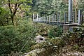 白谷雲水峡の森