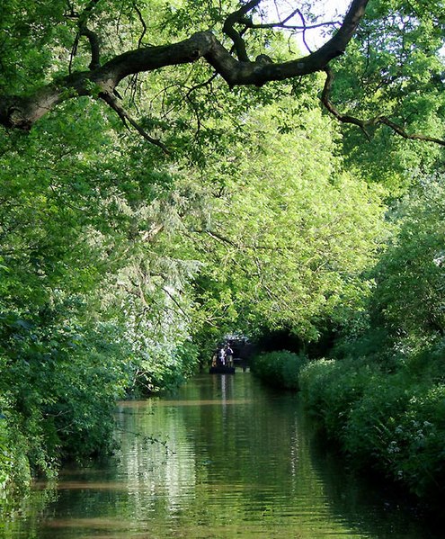 File:Shropshire Union Canal approaching Tyrley Locks, Staffordshire - geograph.org.uk - 1606767.jpg