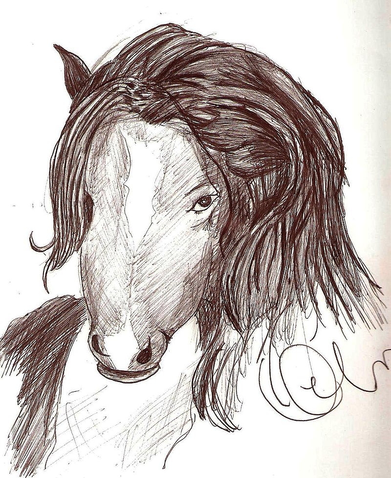 Charcoal drawing: Dark beauty., My first realistic horse po…