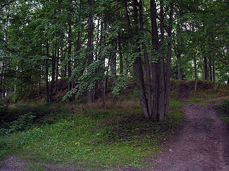 Skomantu piliakalnis.2007-08-19.jpg