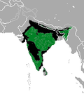 Verbreitungsgebiet des Lippenbären; grün: rezent, schwarz: historisch