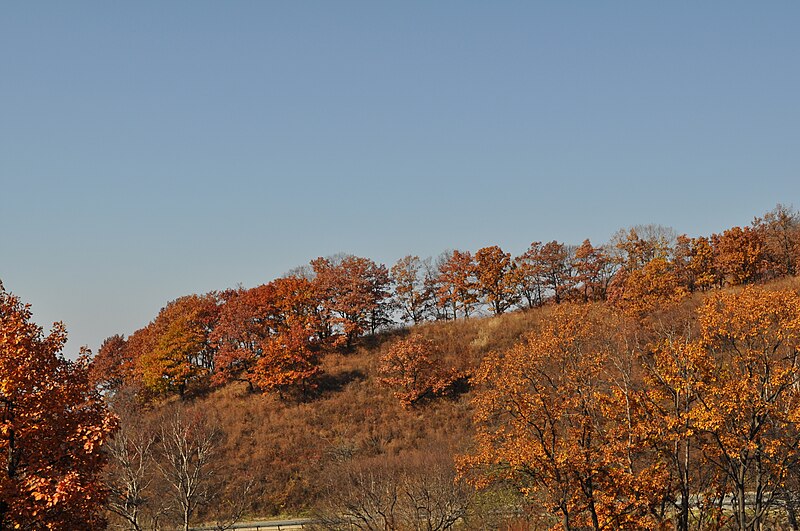 File:Sopka of Sihote-Alin in autumn.jpg