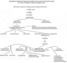 diagrama da árvore genealógica no fundo branco