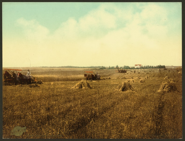 File:South Dakota harvest field-LCCN2008678244.tif