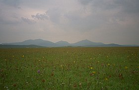 Machair de South Uist (timniblett).jpg