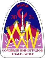 Emblem der Mission