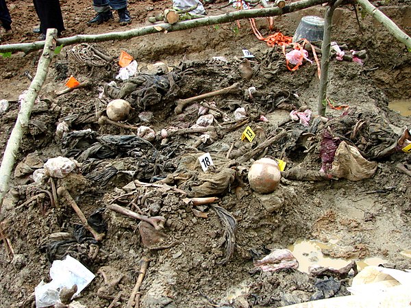 Exhumed bodies of victims of the 1995 Srebrenica Genocide in a mass grave found in 2007.