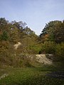 Jungsteinzeitlicher Steinbruch auf der Antonshöhe