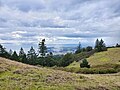 View of Stinson Beach and the Pacific Ocean from West Ridgecrest Boulevard