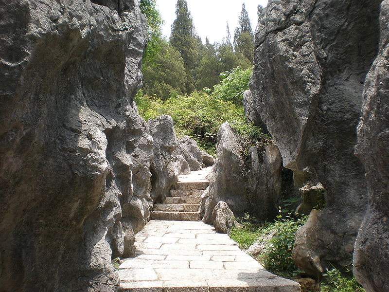 File:Stone Forest pathway 23.JPG