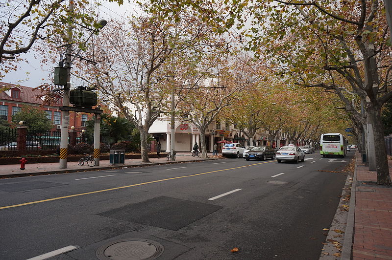 File:Street View of Hengshan Rd..JPG