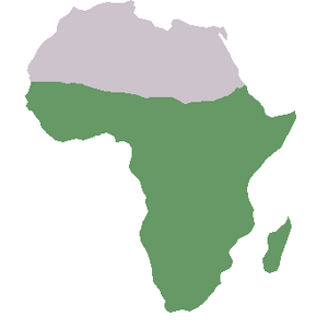 Subsaharisk Afrika
