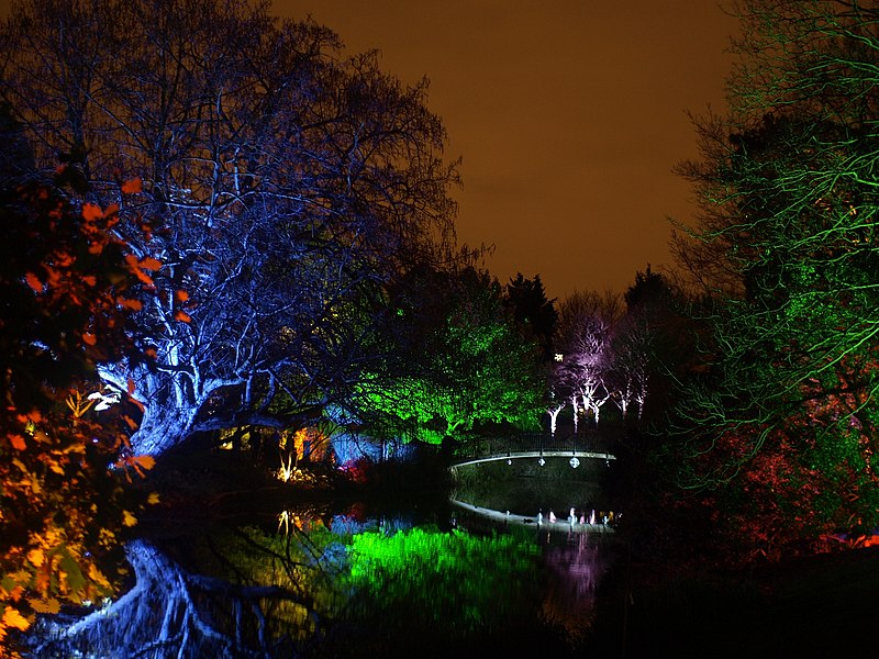 File:Syon Park Enchanted Woodland 3.jpg