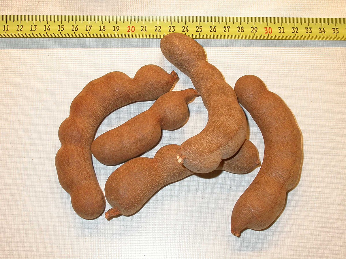 Tamarind.jpg