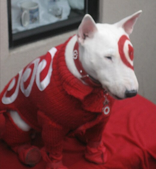 Bullseye, de mascotte van Target.