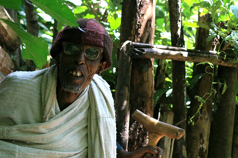 File:The Old Father Bahir Dar.jpg